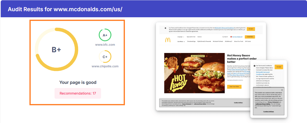 Competitors in the audit report